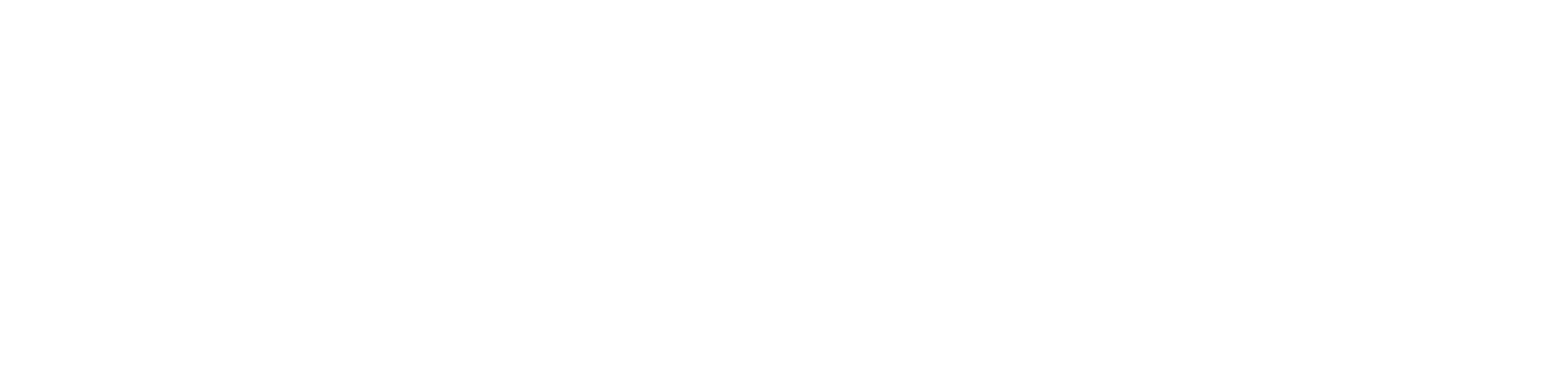 missvietnamlogo